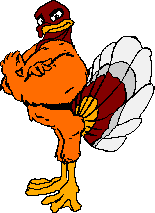 Hokie Bird